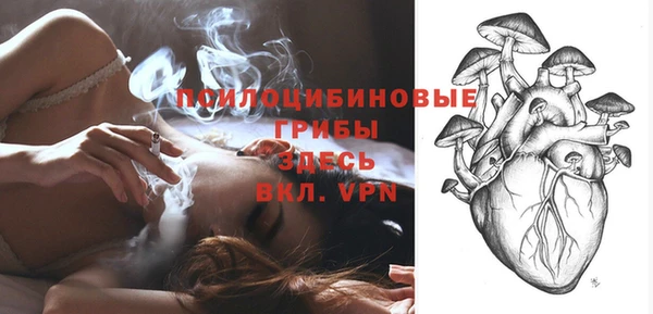 винт Михайлов