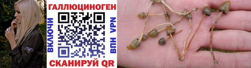 Псилоцибиновые грибы Cubensis  Ярцево 